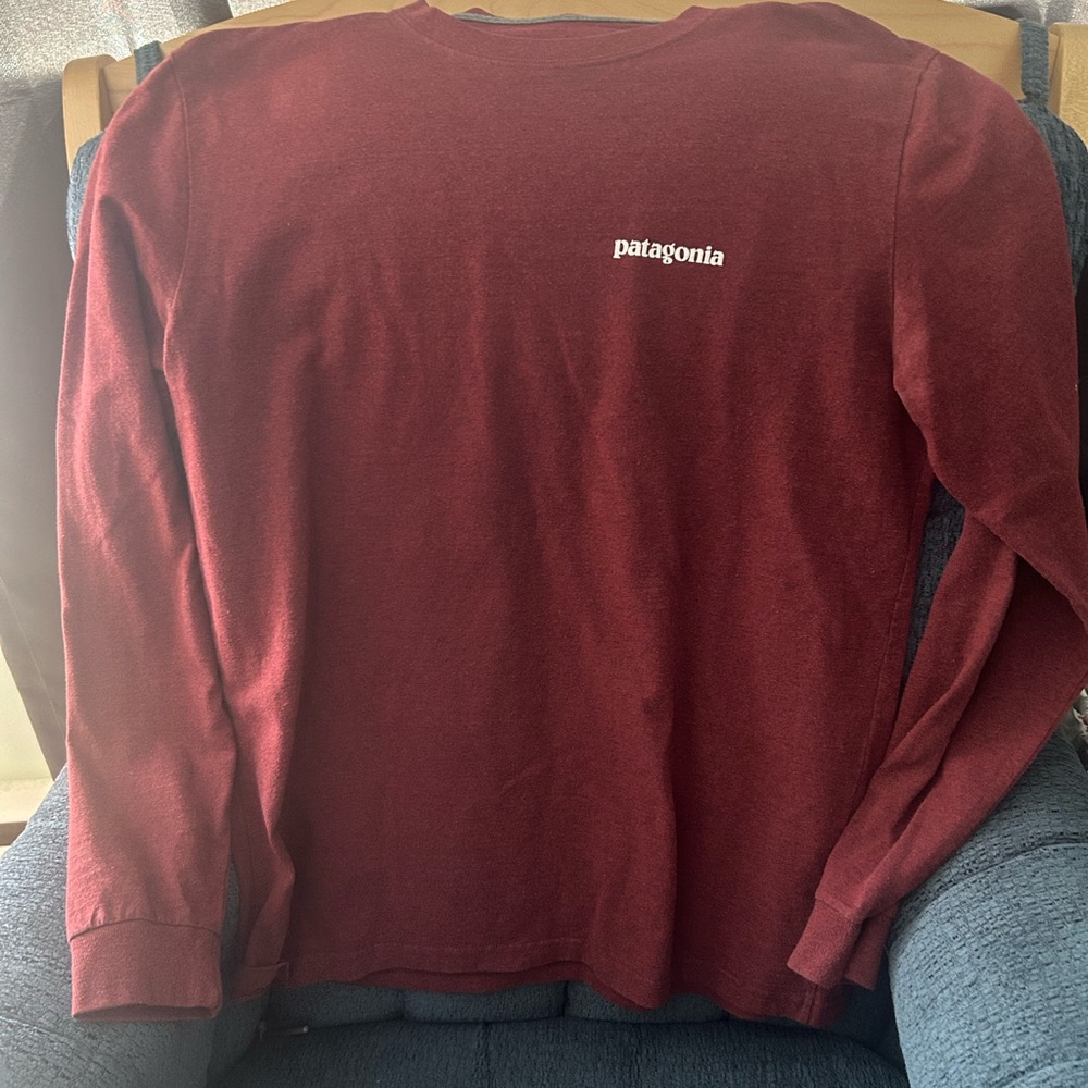 Patagonia Burgundy Regular Fit Tee